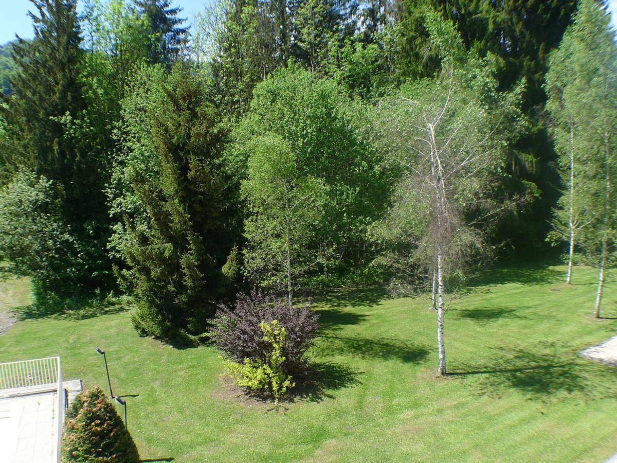 Studio Mansarde Avec Balcon, Piscine Et Parking Souterrain A Samoens - Fr-1-629-92 Luaran gambar