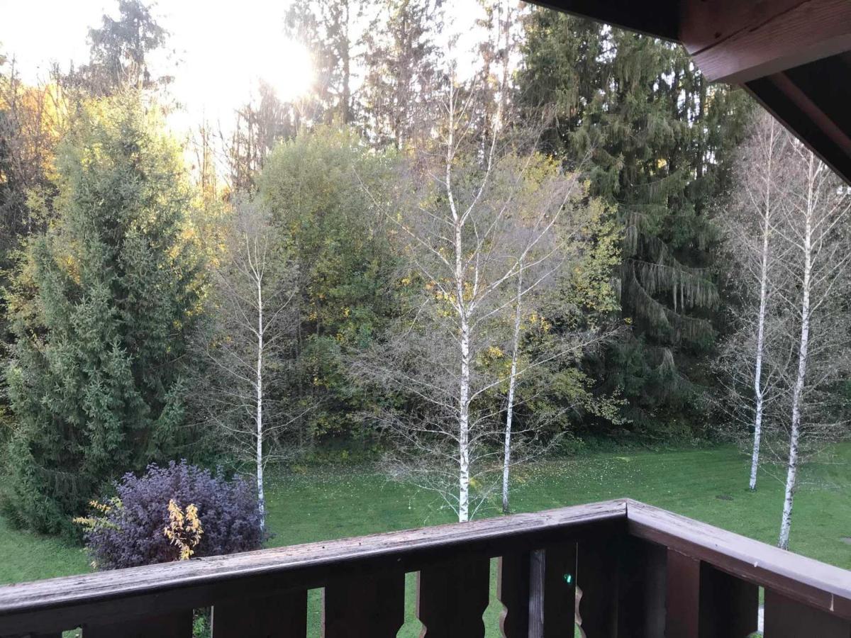 Studio Mansarde Avec Balcon, Piscine Et Parking Souterrain A Samoens - Fr-1-629-92 Luaran gambar